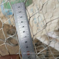 Decorative wire rope mesh Stainless steel zoo fence net